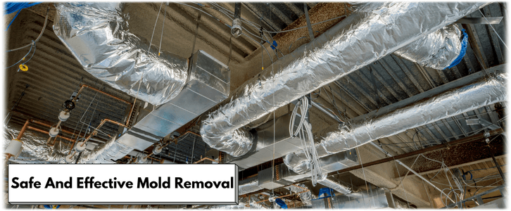 Air Duct Mold Removal in Dallas TX