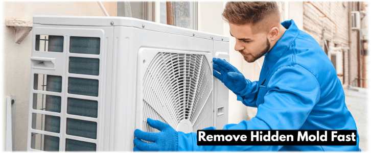 HVAC Mold Removal Dallas TX
